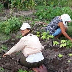 AGRICULTORES