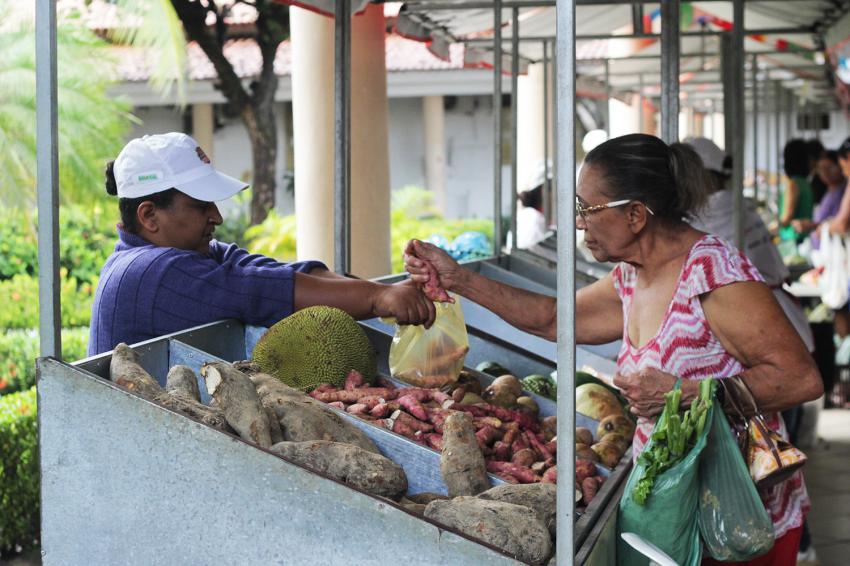 FEIRA ORGANICOS