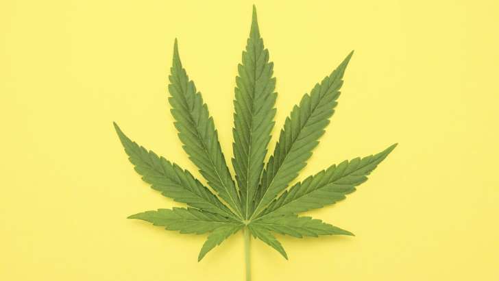 Maconha