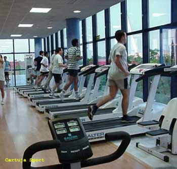 academia musculação