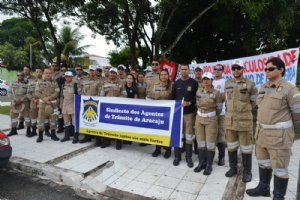 agente 19 06