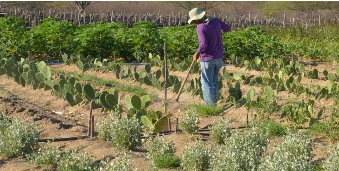 agricultura 09 06 2022