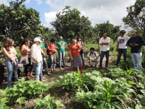 agricultura 23 08