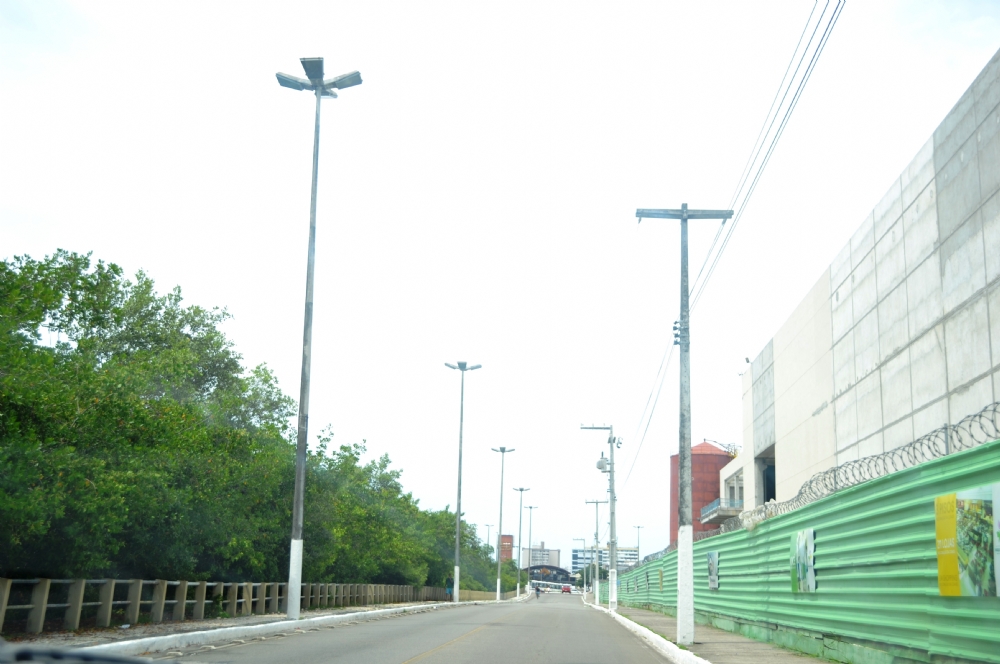 alma viva