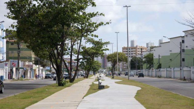 avenida canal5