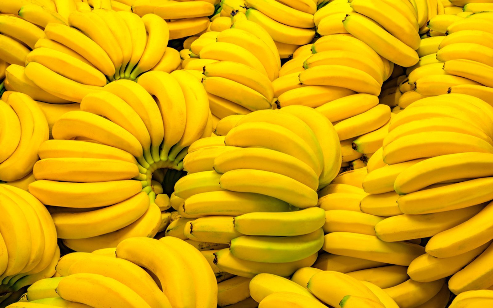 bananas 26 06