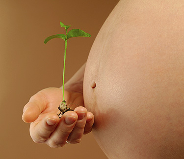 barriga gestante