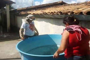 brigada itinerante contra mosquito