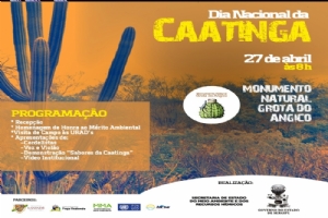 caatinga 26 04