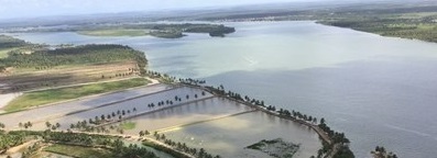camarao 09 04