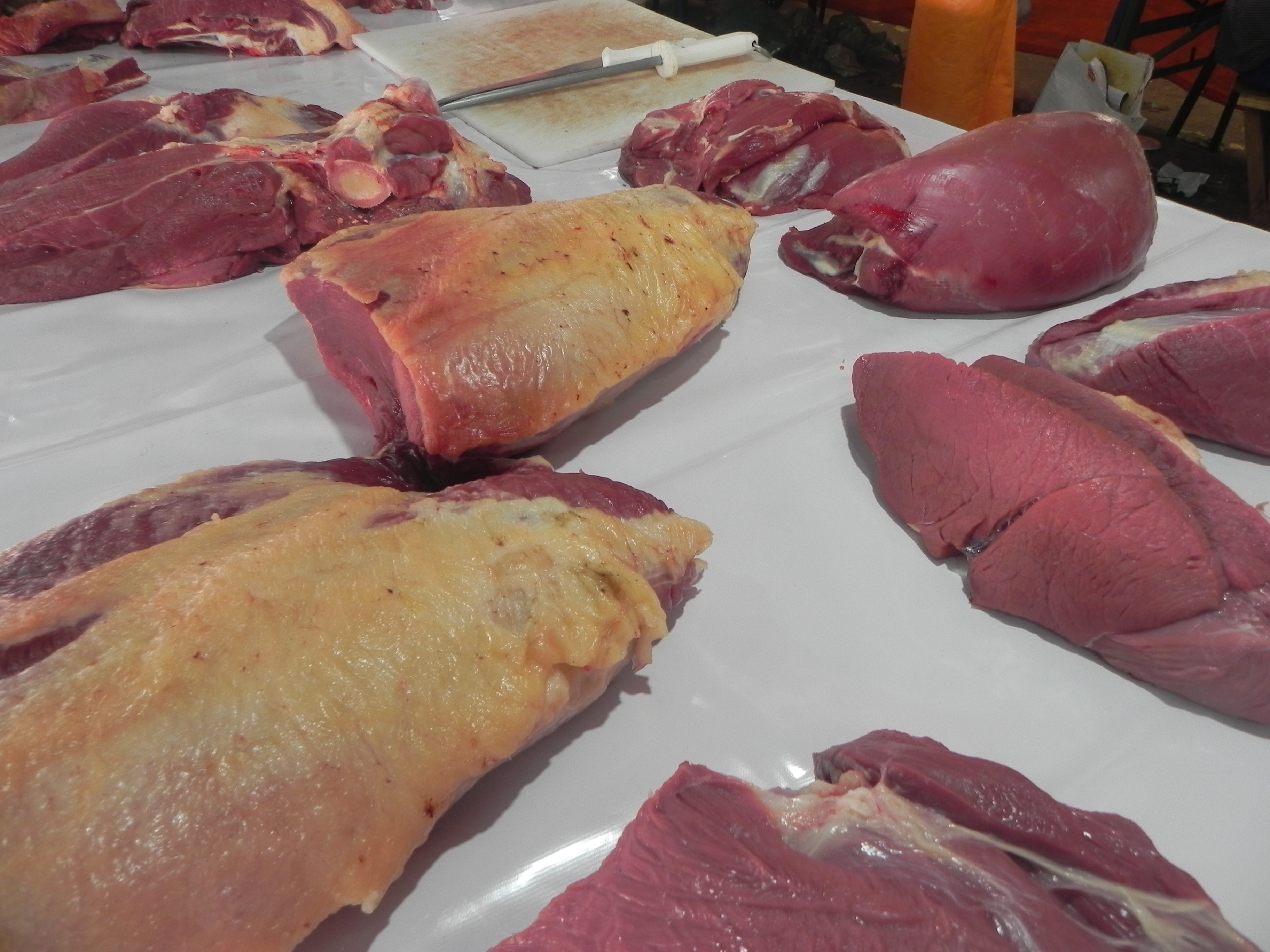 carnes 14 02