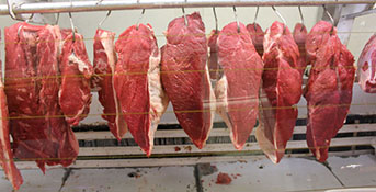 carnes