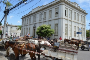 carroceiro1411