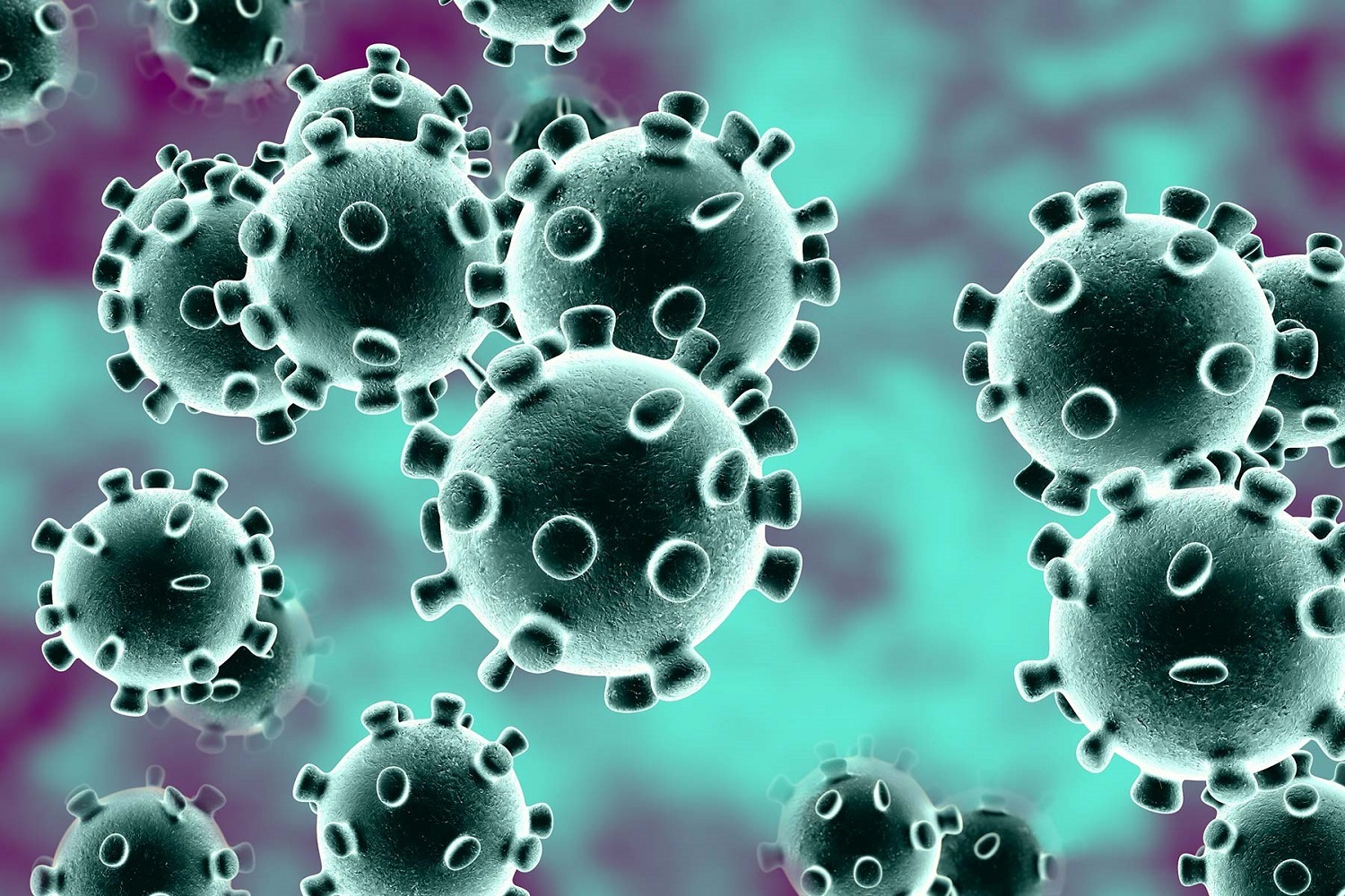 coronavirus foto