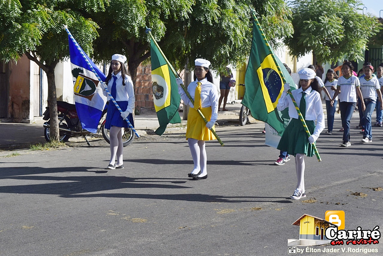 desfile 04 08
