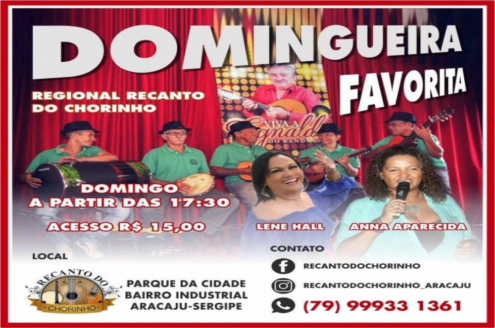 domingo2908