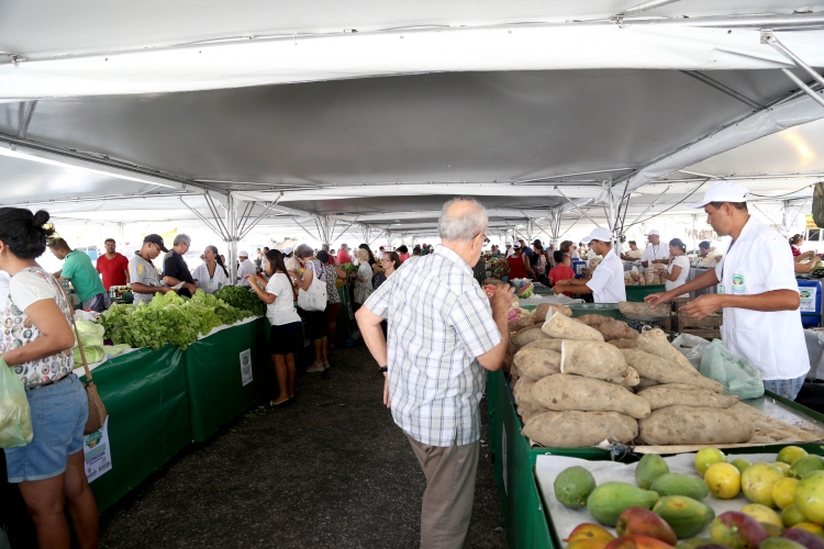 estrutura feira