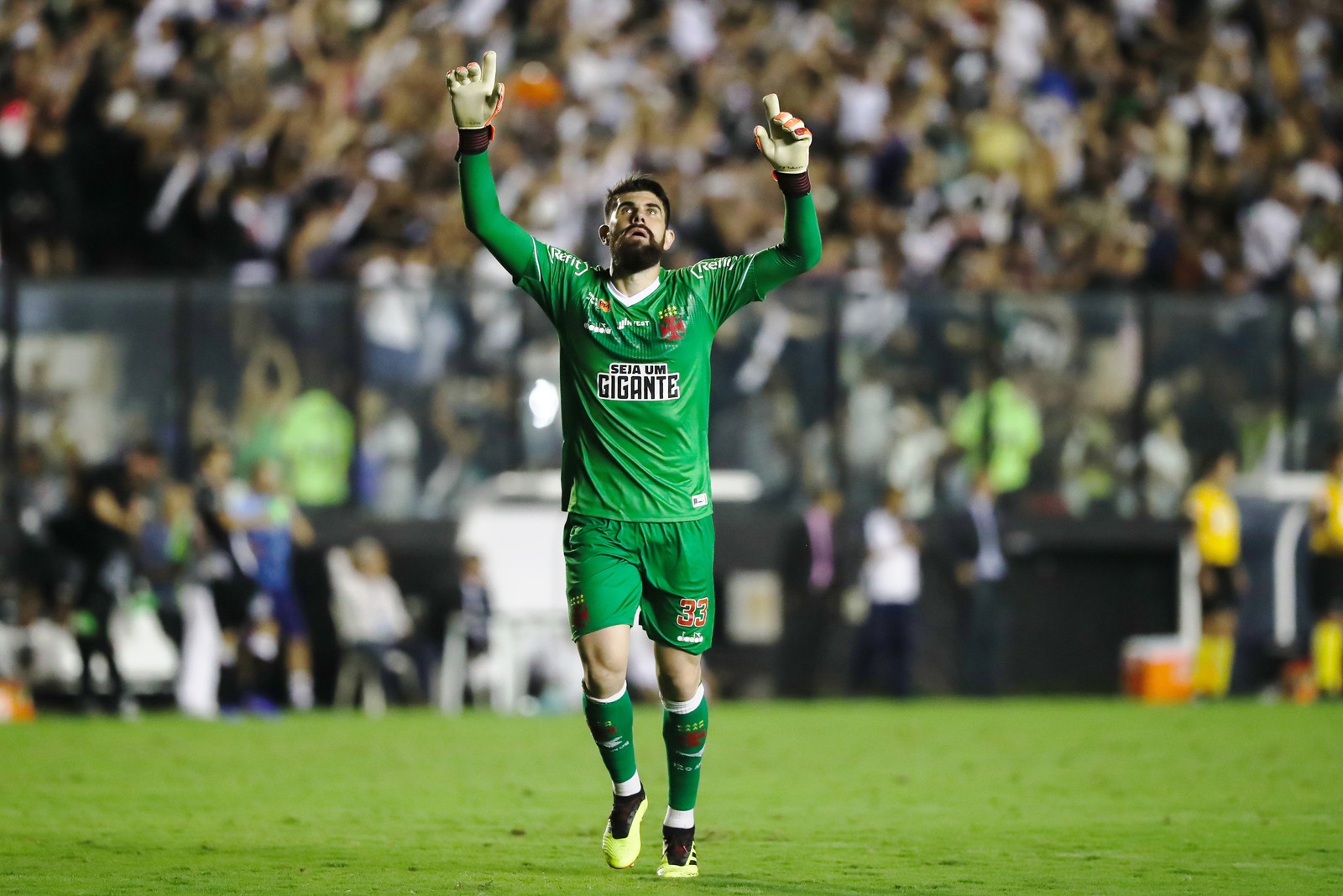 fernando miguel vasco 2