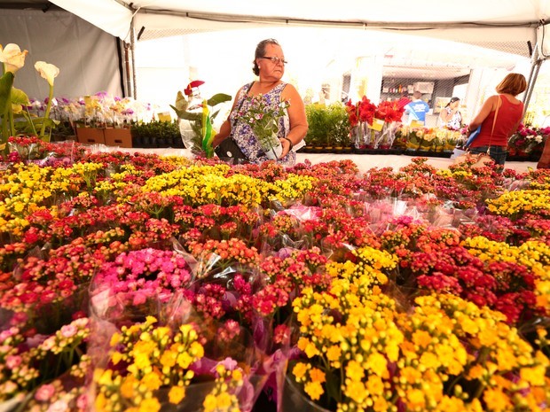 flores