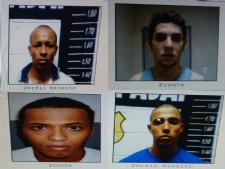 fugitivos
