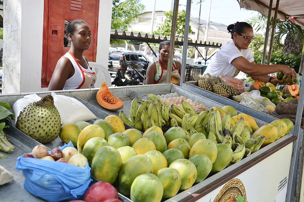 grande feira seed 020715