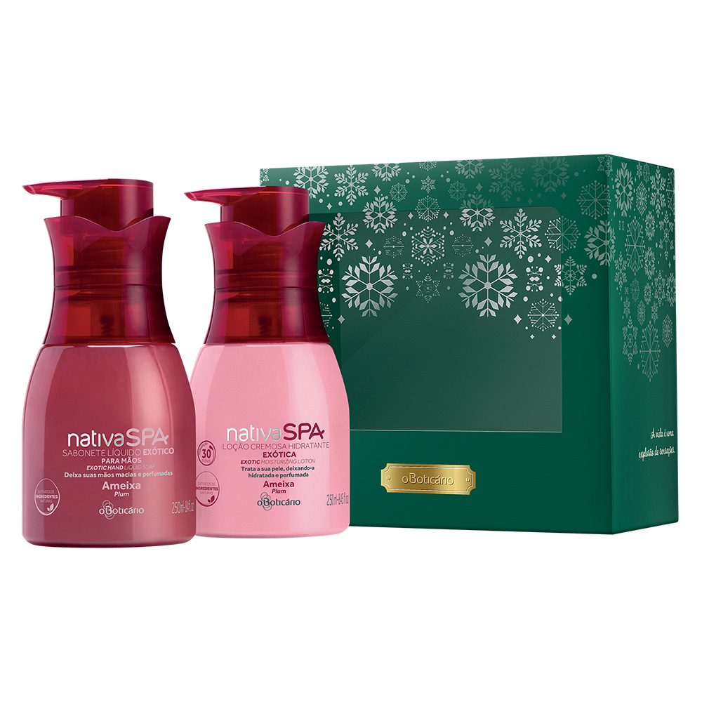 kit presente natal ameixa 29036 1