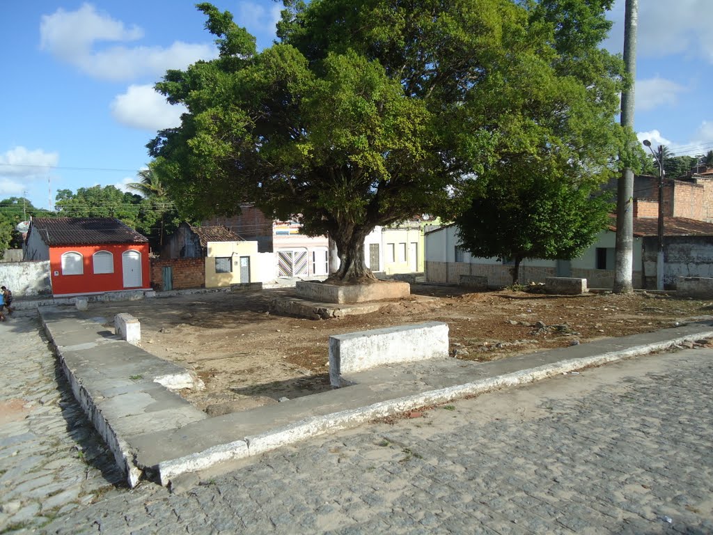 laranjeiras19 01 2018