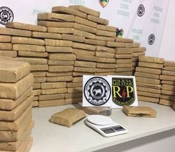 maconha3