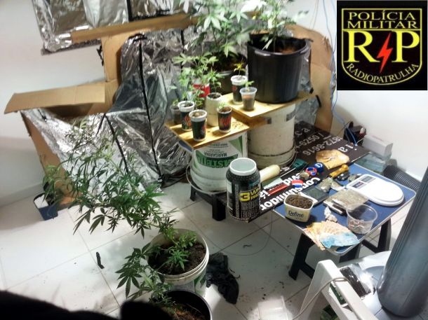 maconha apartamento