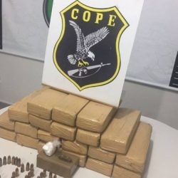 maconha taxista