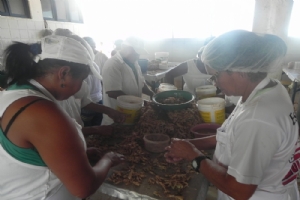 marisqueira01 03