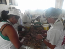 marisqueira2802