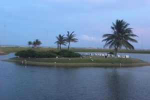 orla2011