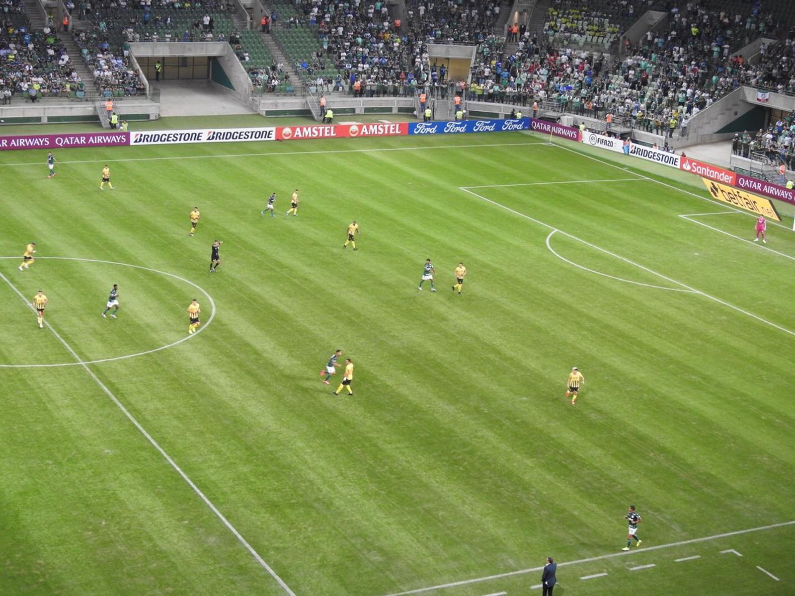 palmeiras