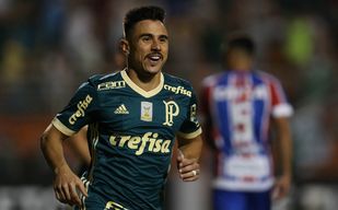 palmeiras1310