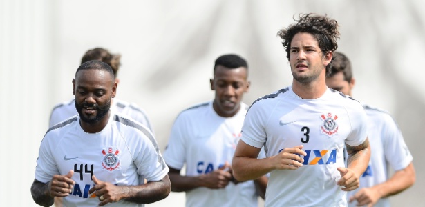 pato1
