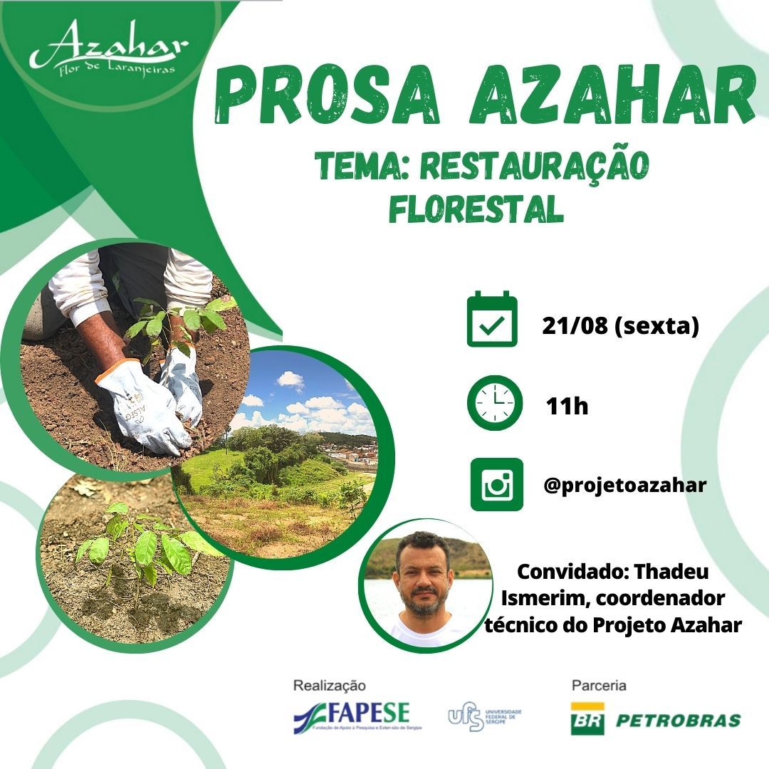 prosa