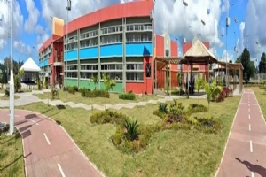sergitec 0406
